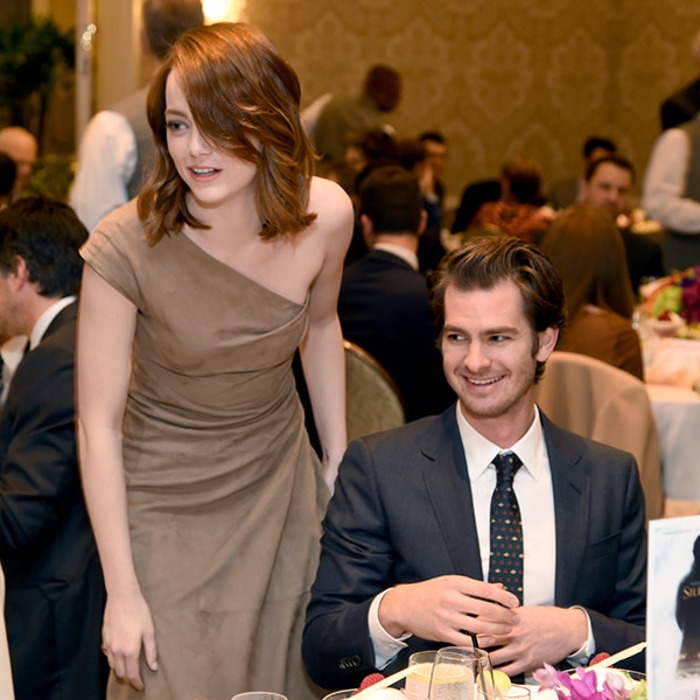 Emma Stone Andrew Garfield Reunite At Afi Awards E Online Au